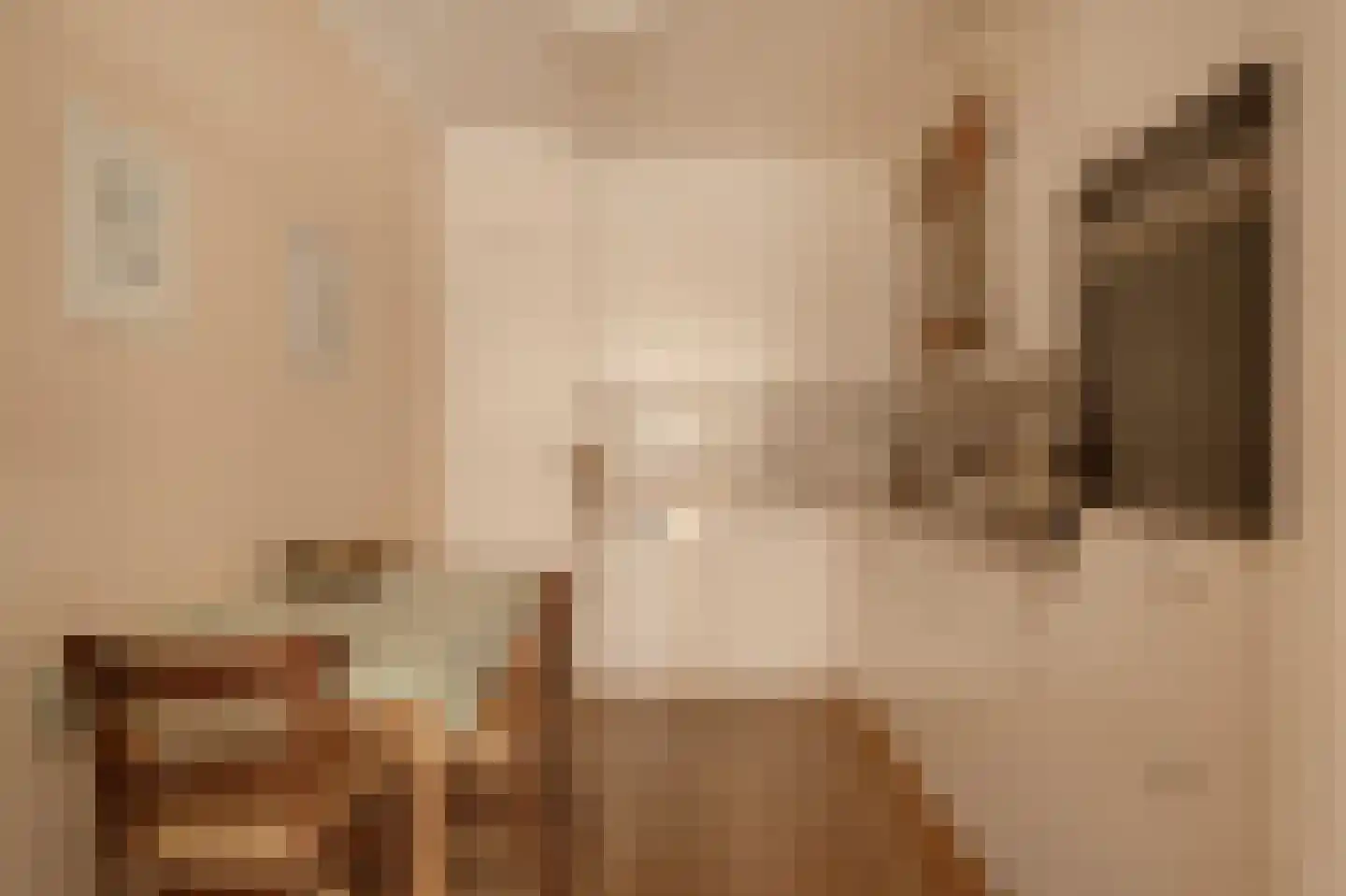 Jan Willem Frisohof 39 Den Haag thumbnail 21