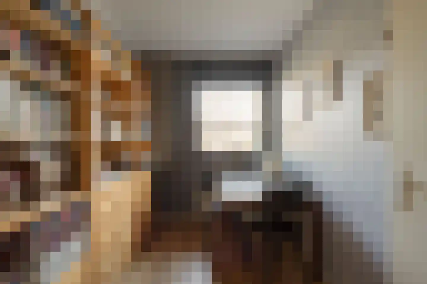 Jan Willem Frisohof 39 Den Haag thumbnail 24