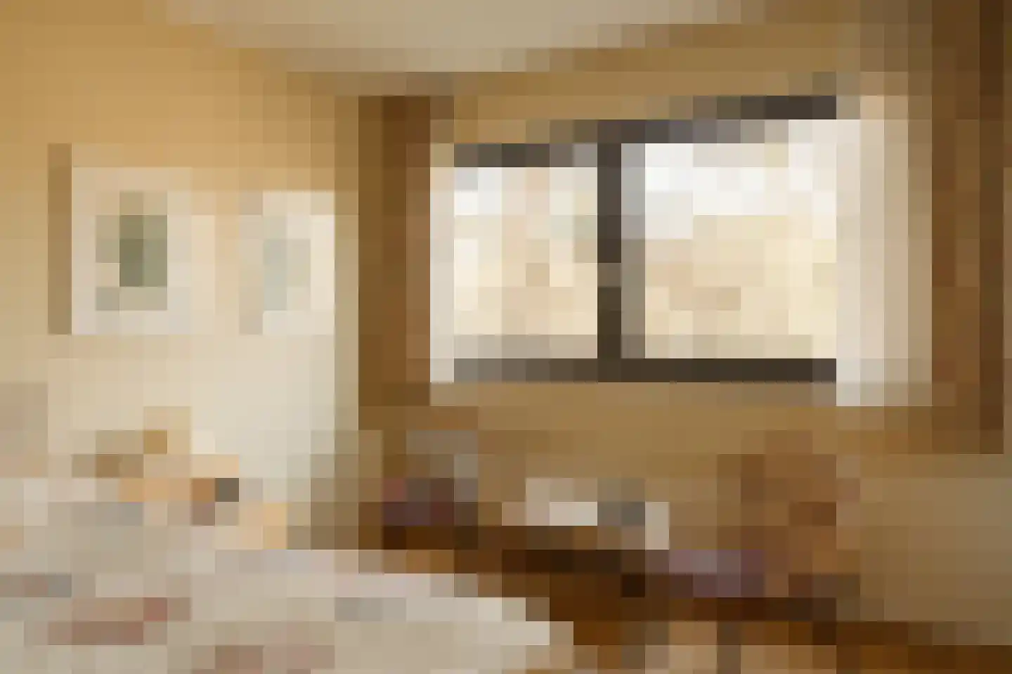 Jan Willem Frisohof 39 Den Haag thumbnail 31