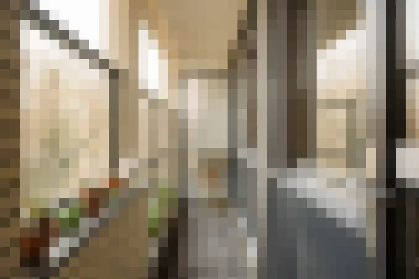 Jan Willem Frisohof 39 Den Haag thumbnail 33