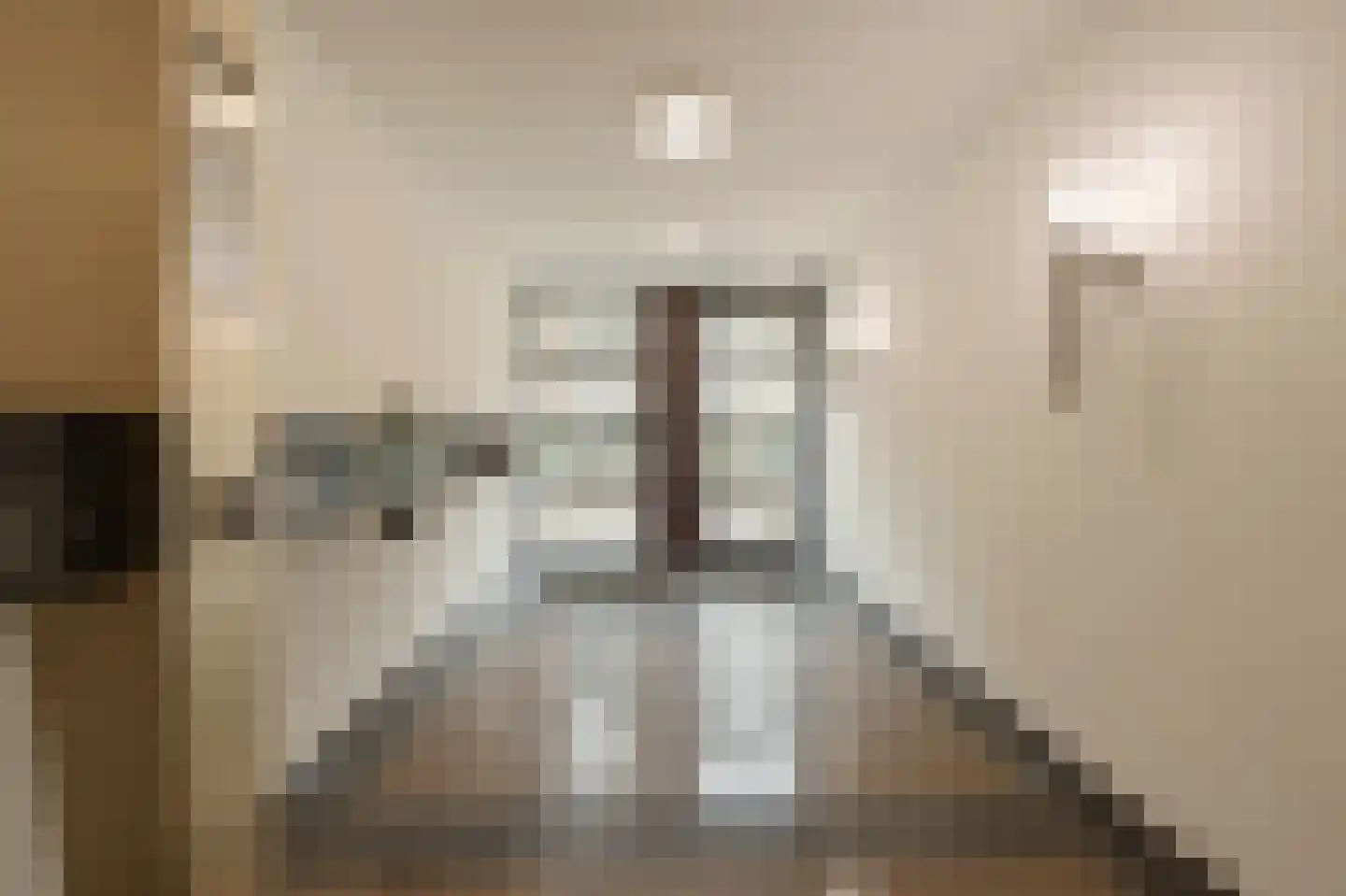 Jan Willem Frisohof 39 Den Haag thumbnail 5