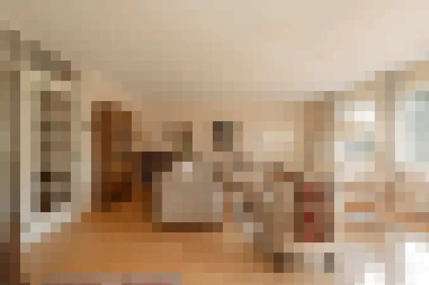 Jan Willem Frisohof 39 Den Haag thumbnail 9