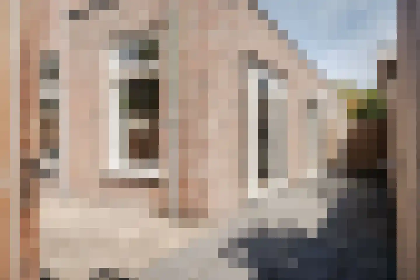 Jan Willem Frisolaan 15 a4 Overveen thumbnail 13