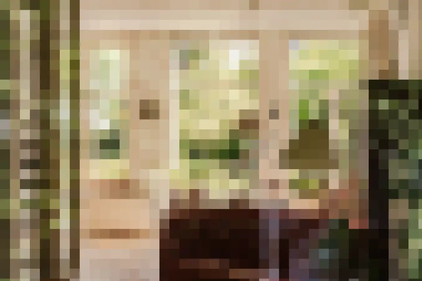 Jan Willem Frisolaan 17 Overveen thumbnail 14