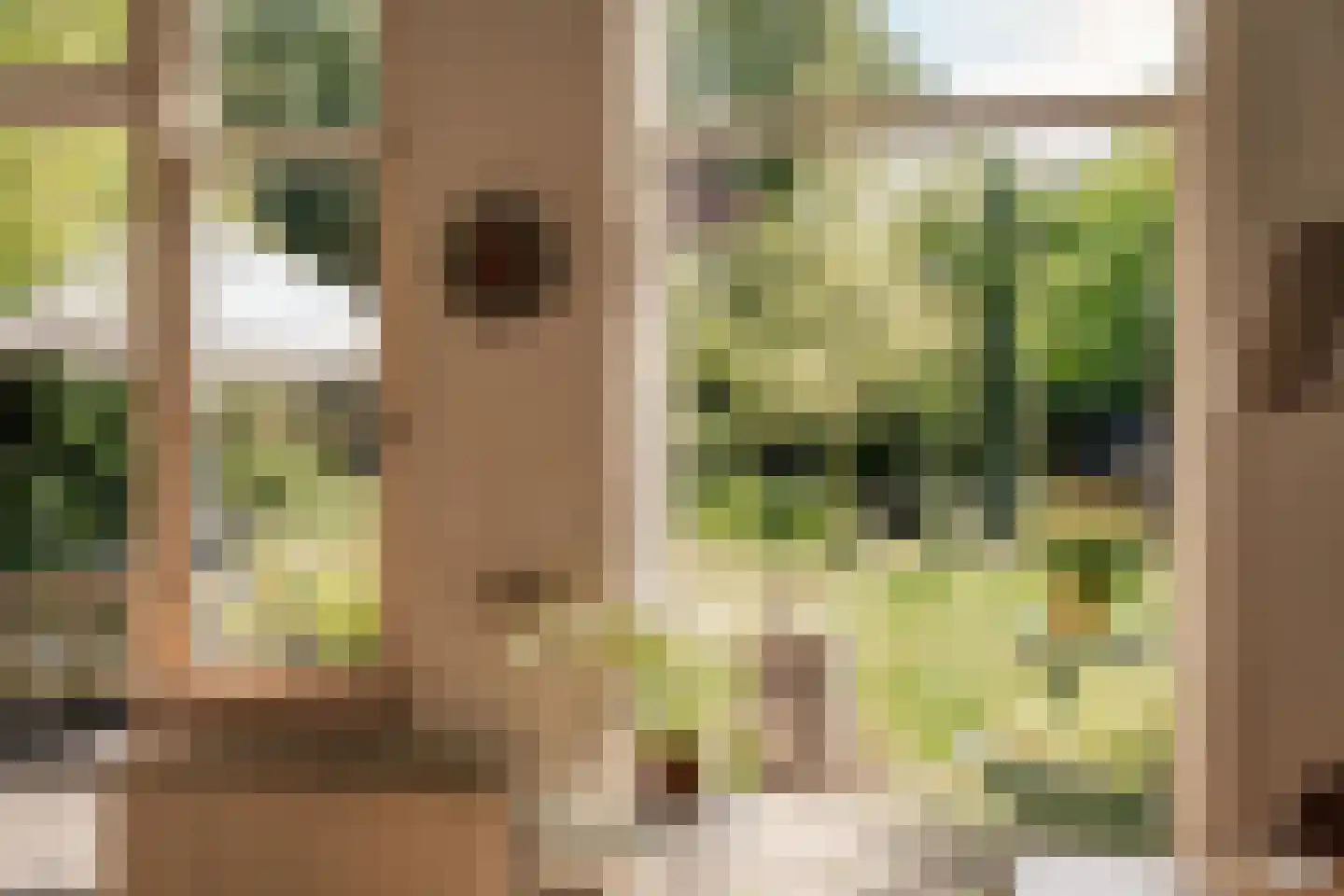 Jan Willem Frisolaan 17 Overveen thumbnail 18