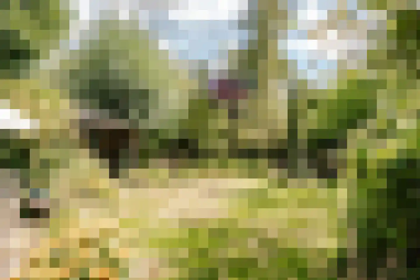 Jan Willem Frisolaan 17 Overveen thumbnail 21