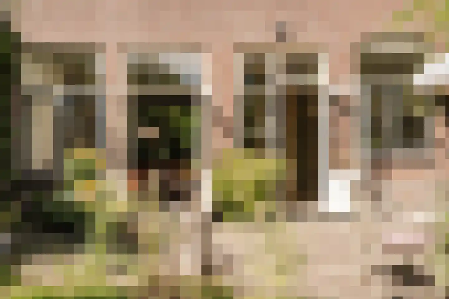 Jan Willem Frisolaan 17 Overveen thumbnail 26
