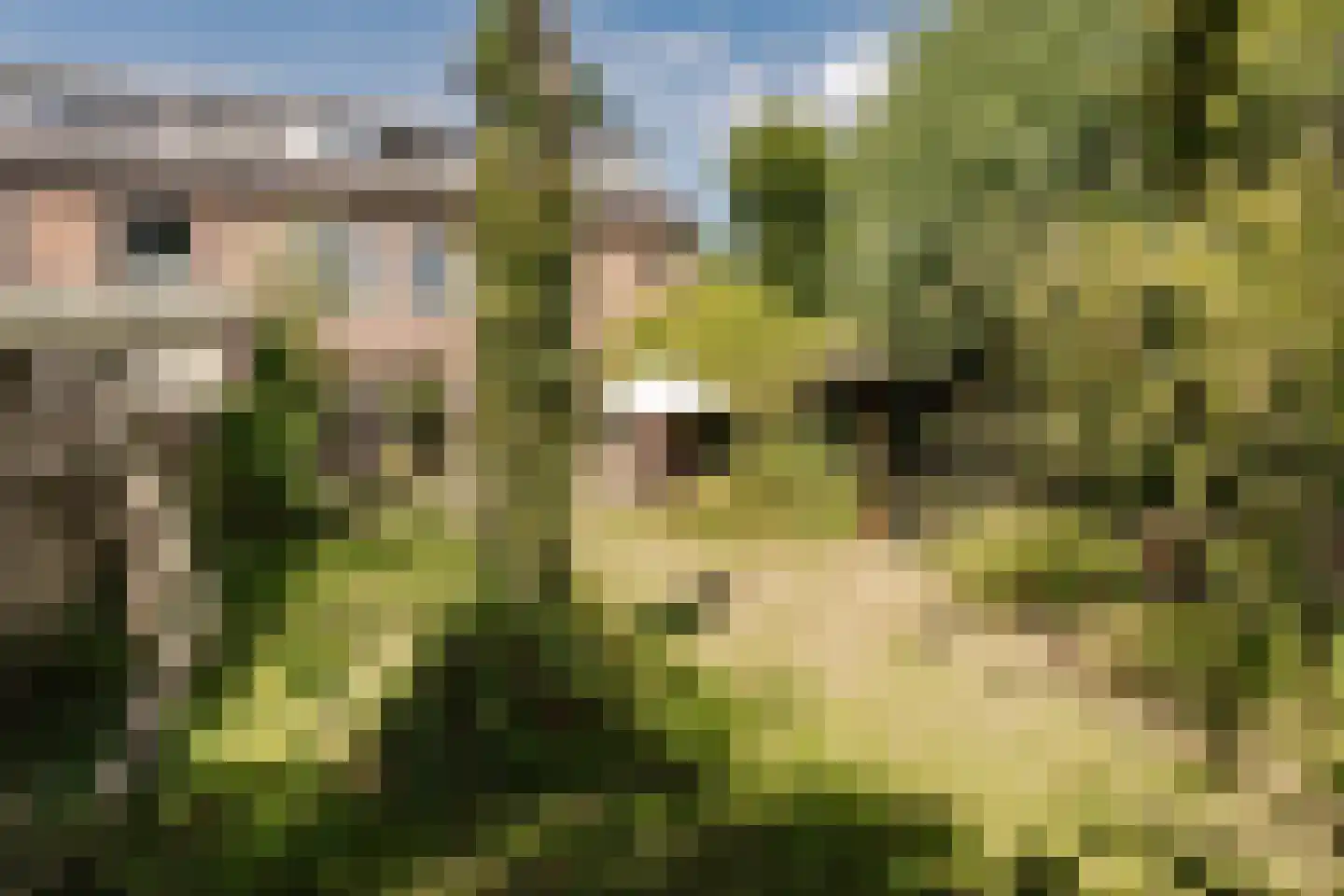 Jan Willem Frisolaan 17 Overveen thumbnail 4