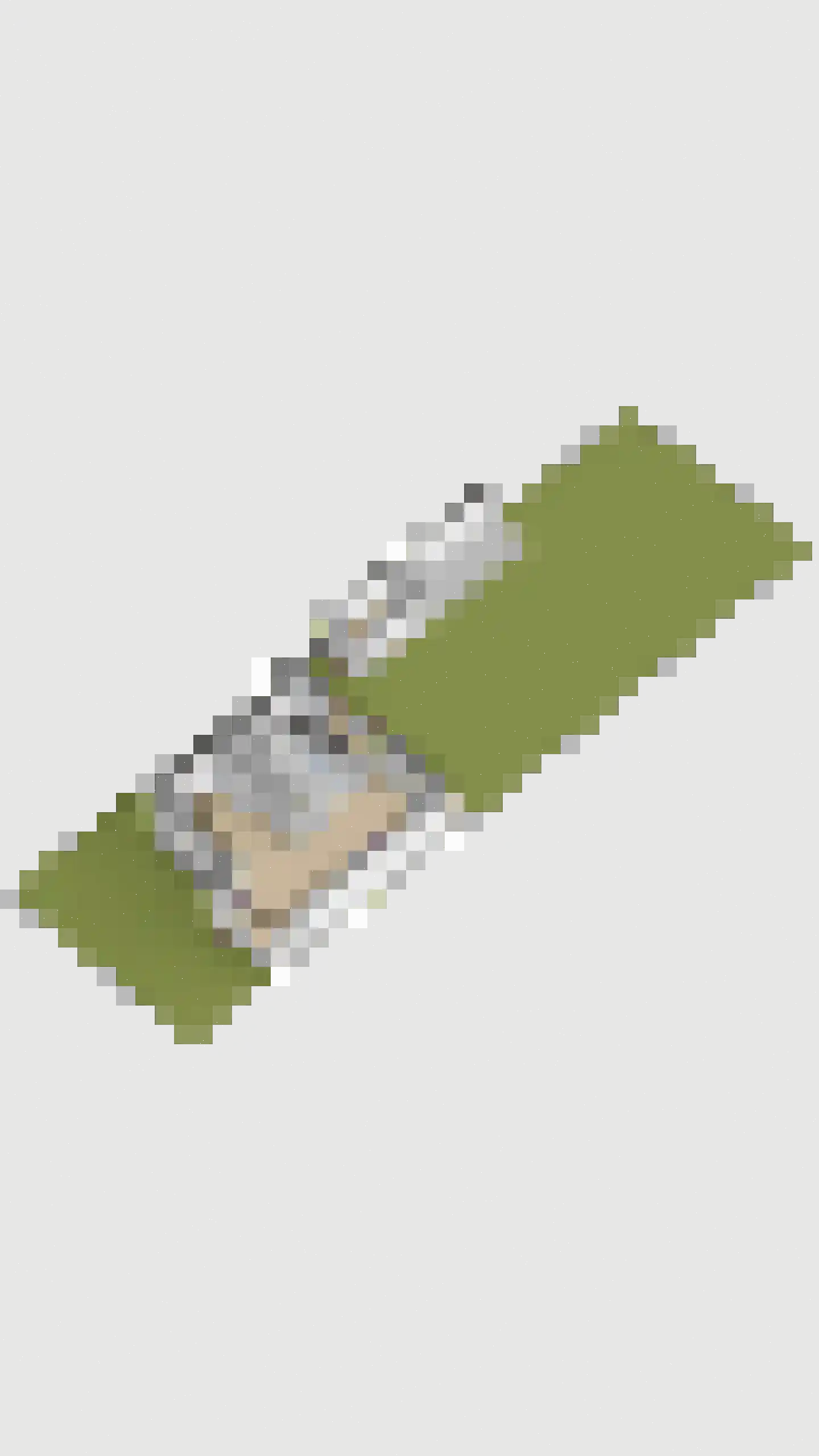 Jan Willem Frisolaan 17 Overveen thumbnail 49