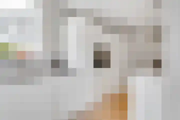 Jan Willem Frisolaan 17 Zeist thumbnail 13