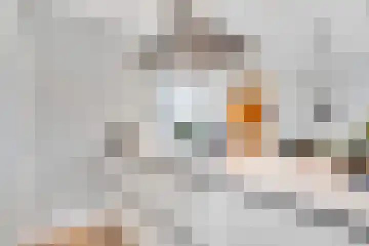 Jan Willem Frisolaan 17 Zeist thumbnail 15