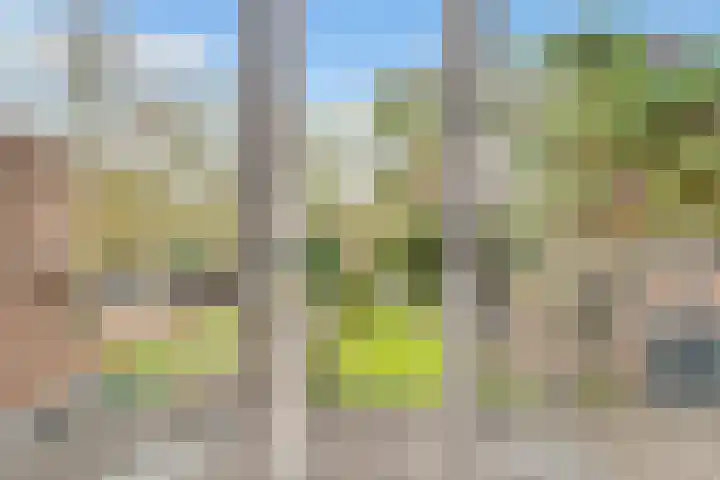 Jan Willem Frisolaan 17 Zeist thumbnail 21