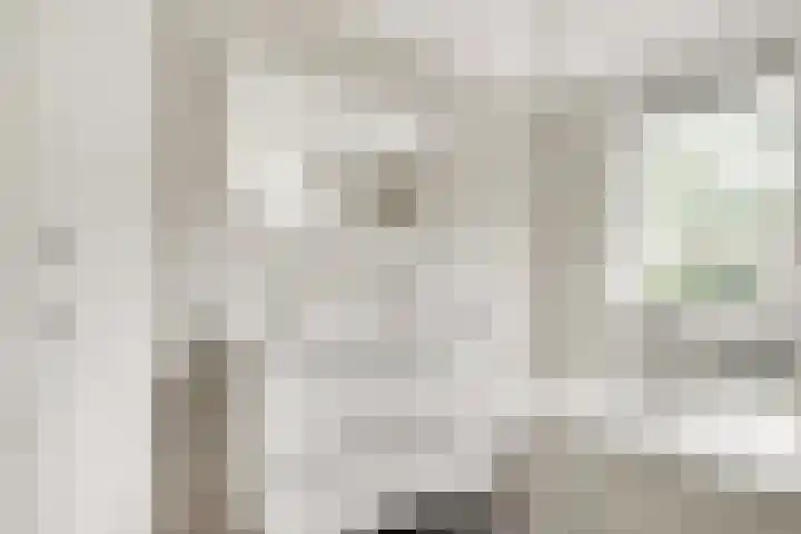 Jan Willem Frisolaan 17 Zeist thumbnail 25
