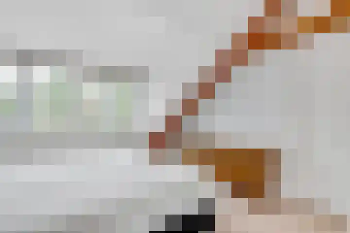 Jan Willem Frisolaan 17 Zeist thumbnail 29