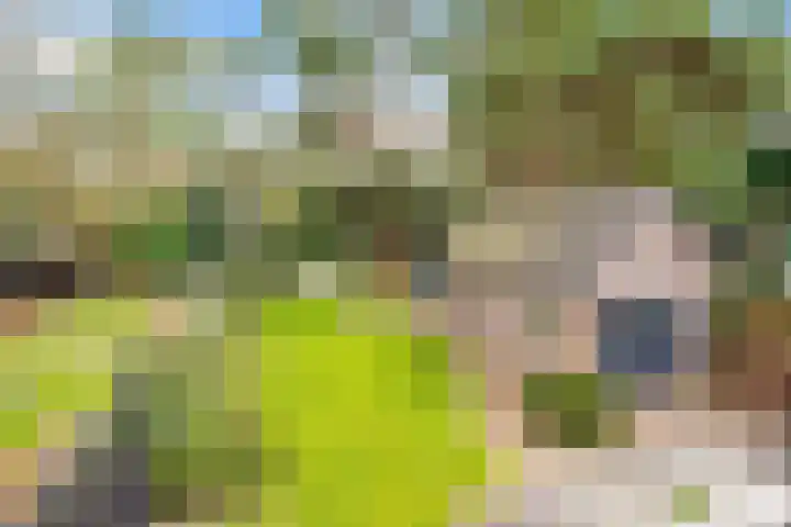 Jan Willem Frisolaan 17 Zeist thumbnail 31