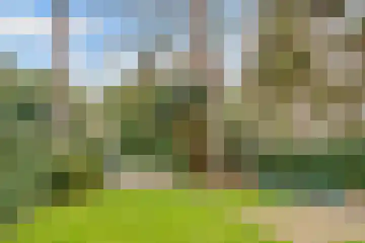 Jan Willem Frisolaan 17 Zeist thumbnail 34