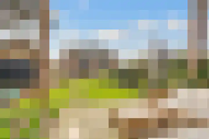Jan Willem Frisolaan 17 Zeist thumbnail 36