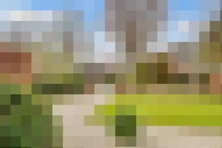 Jan Willem Frisolaan 17 Zeist thumbnail 4