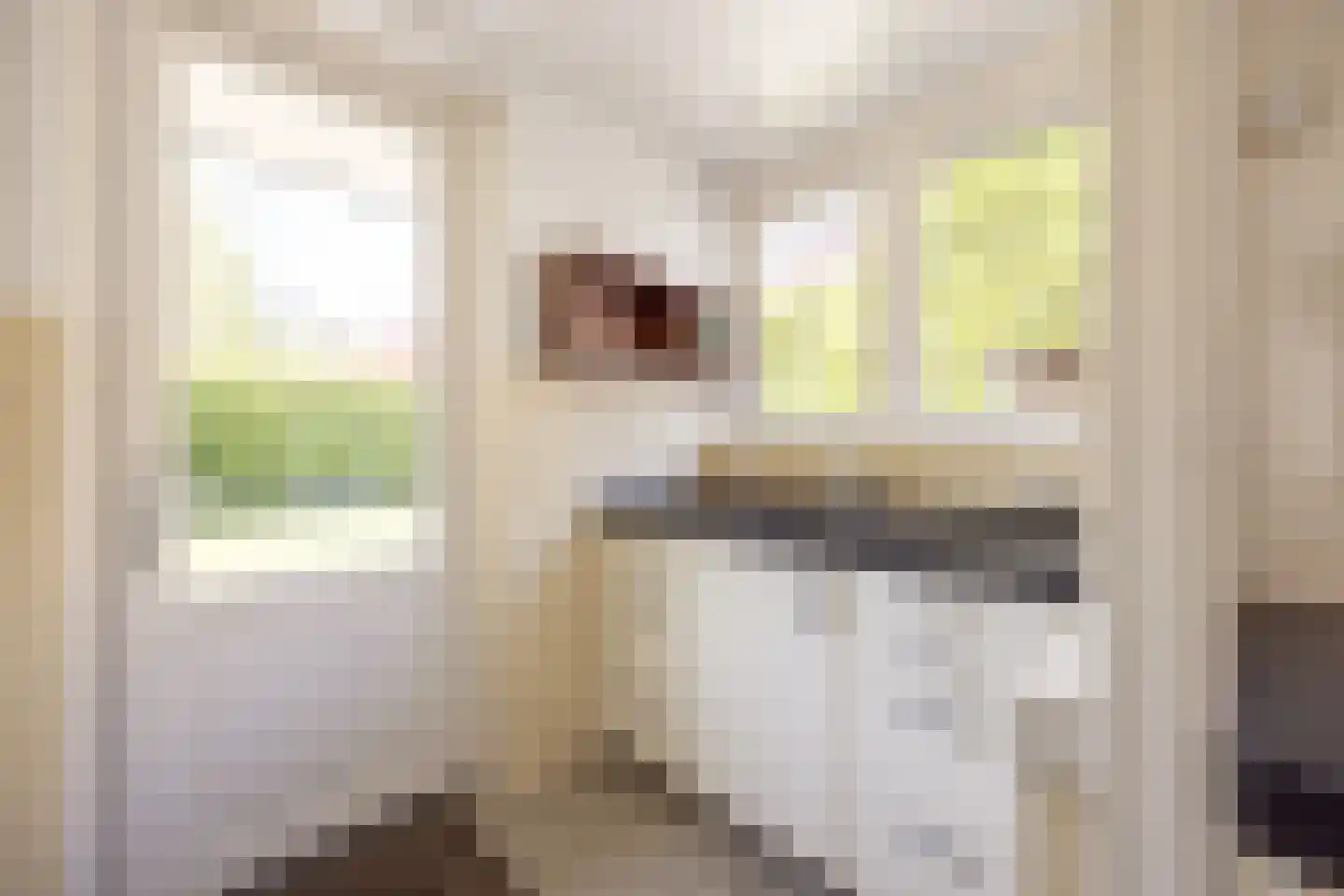 Jan Willem Frisolaan 2 Overveen thumbnail 25