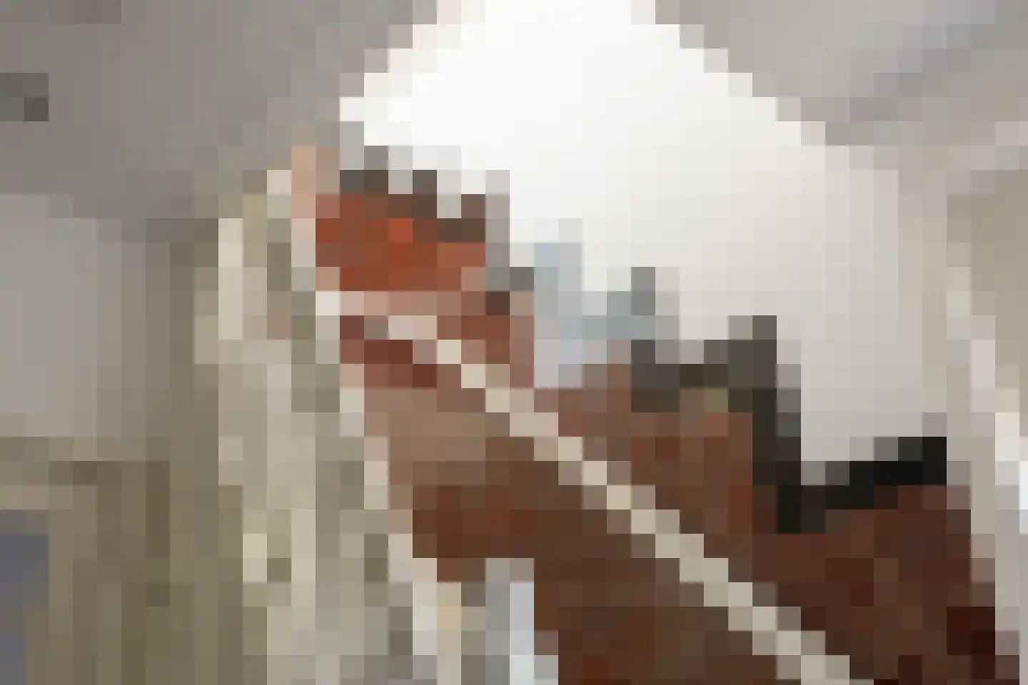 Jan Willem Frisolaan 2 Overveen thumbnail 34