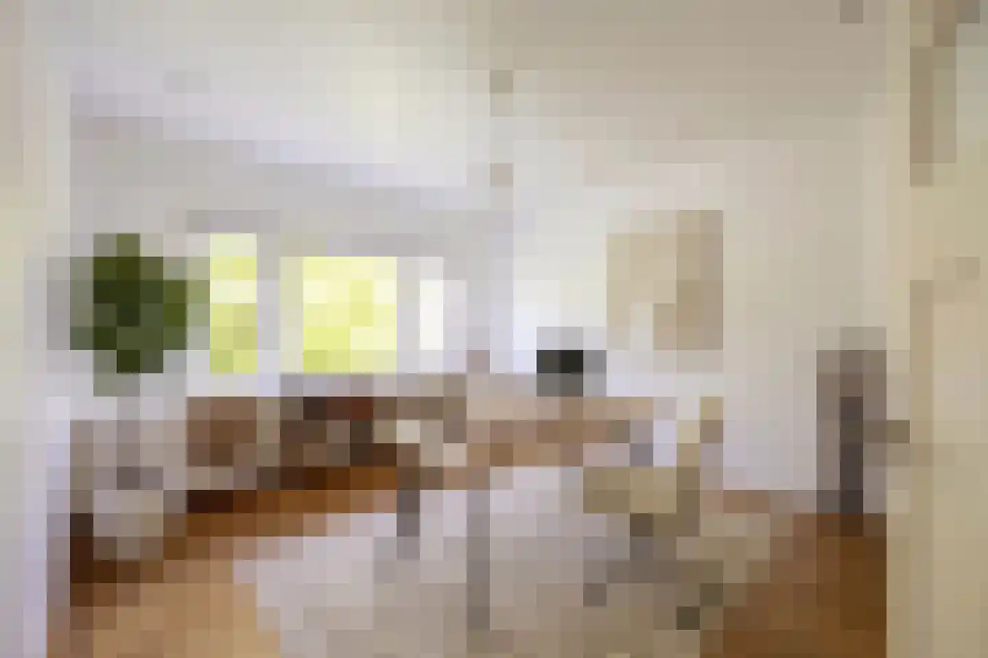 Jan Willem Frisolaan 2 Overveen thumbnail 5