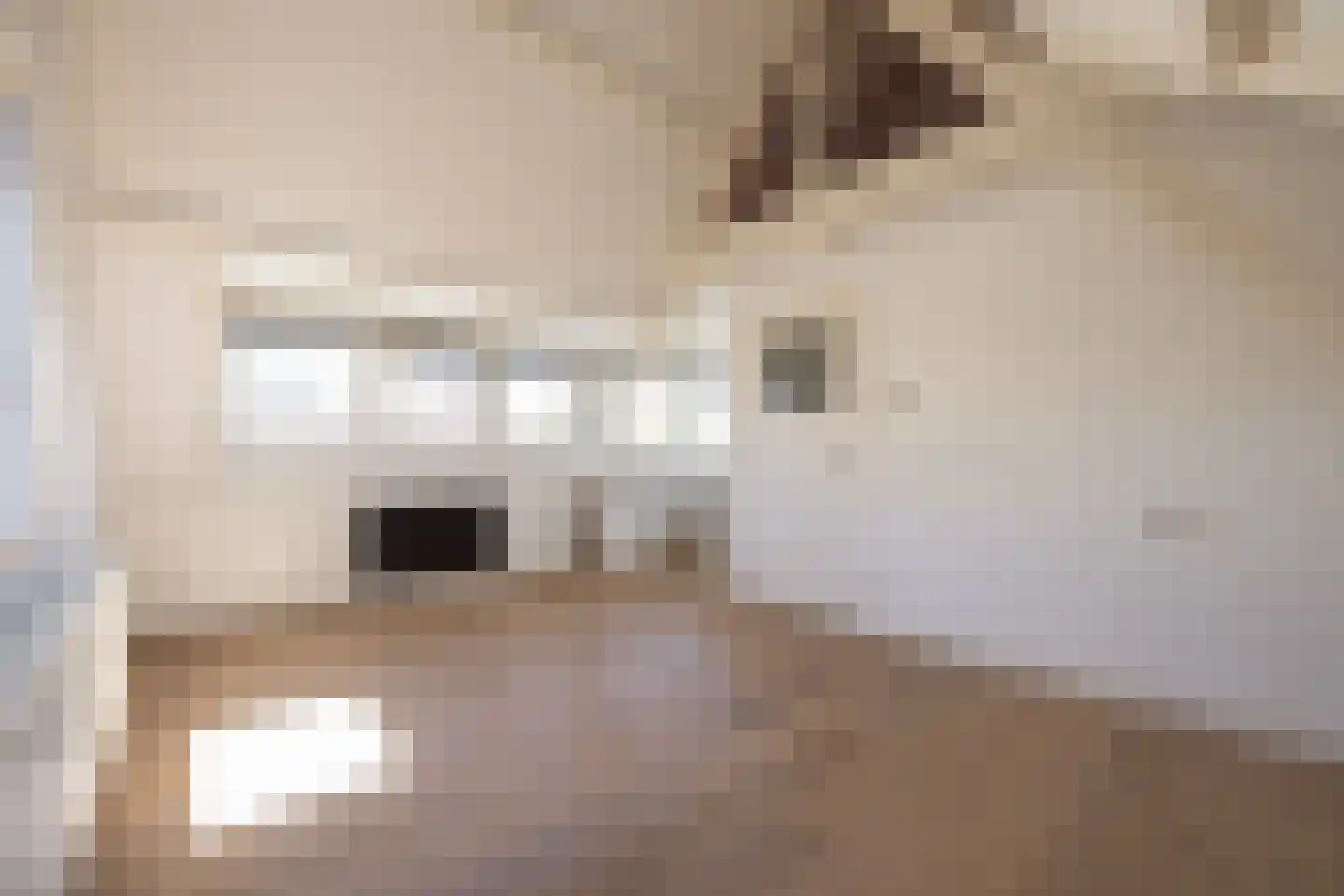 Jan Willem Frisolaan 2 Overveen thumbnail 51