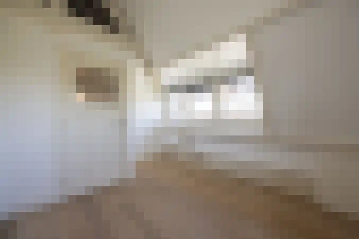 Jan Willem Frisolaan 2 Overveen thumbnail 59