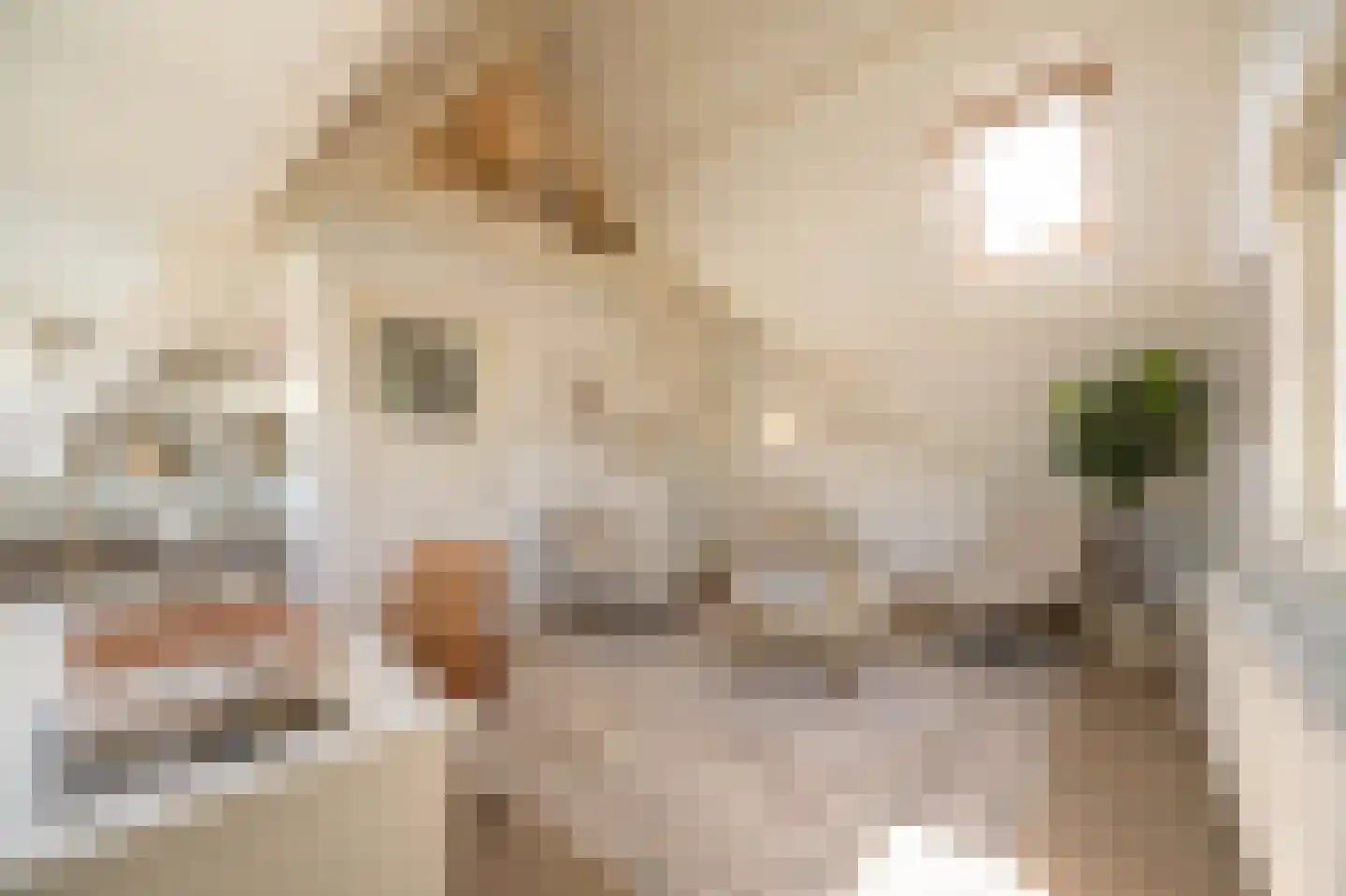Jan Willem Frisolaan 2 Overveen thumbnail 7