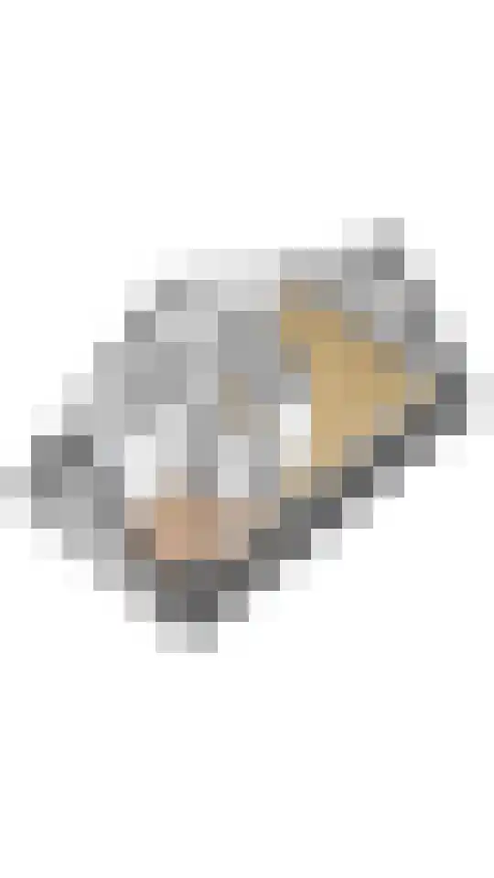 Jan Willem Frisolaan 2 Overveen thumbnail 76