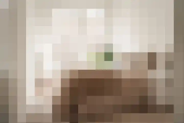 Jan Willem Frisolaan 9 b a4 Overveen thumbnail 11
