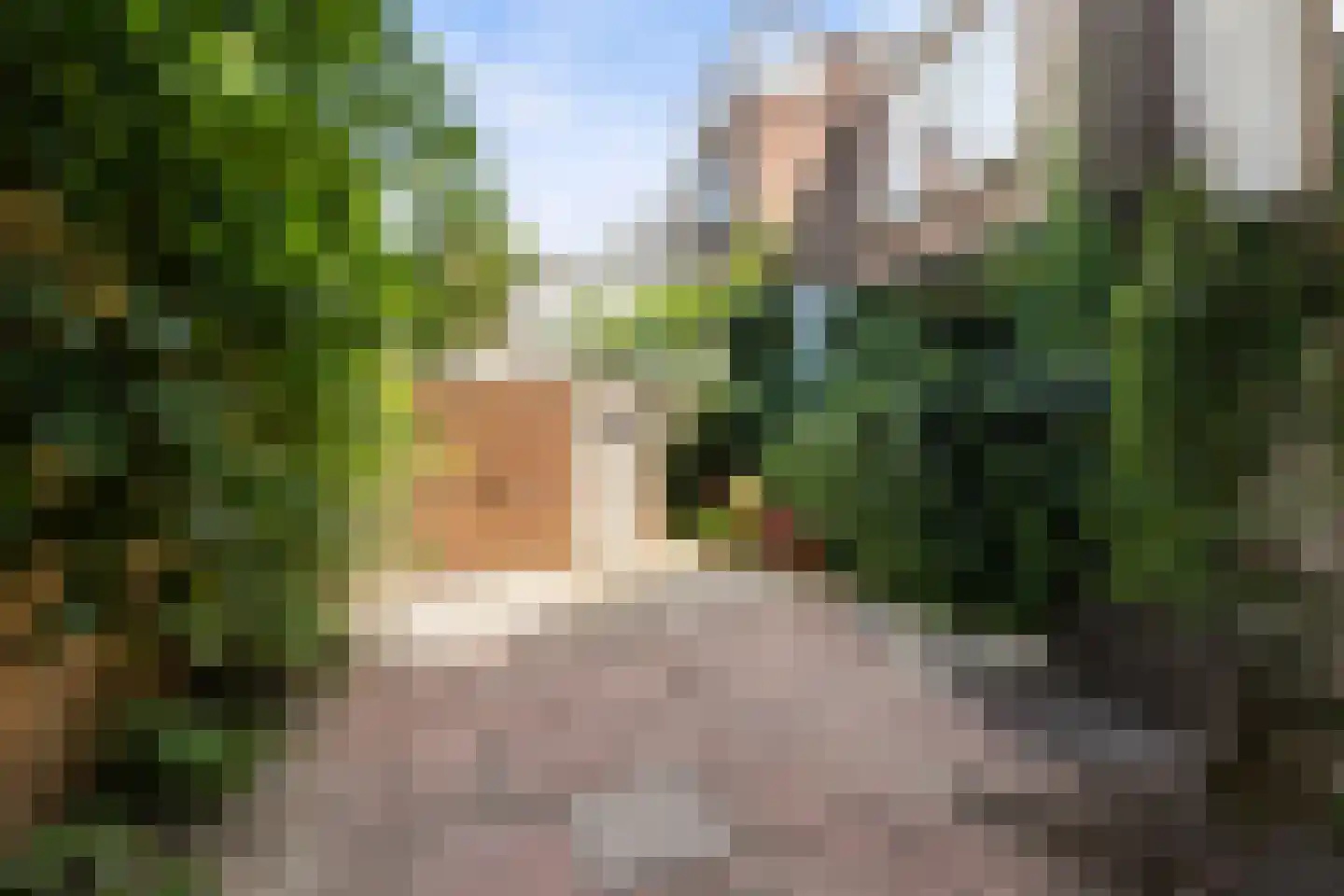 Jan Willem Frisostraat 37 A Rotterdam thumbnail 20