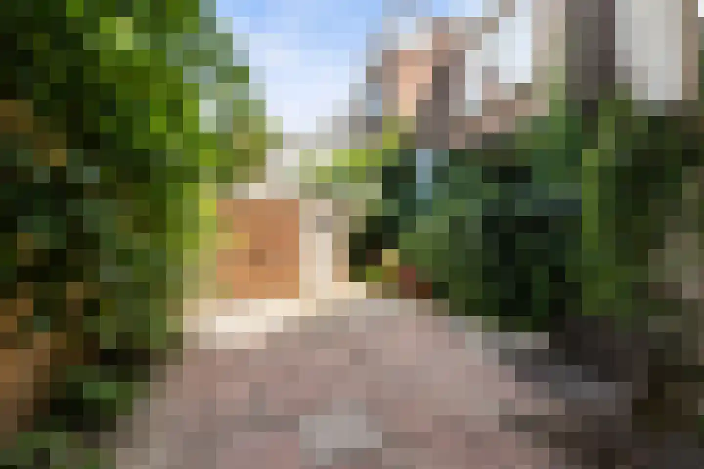 Jan Willem Frisostraat 37 A Rotterdam thumbnail 37