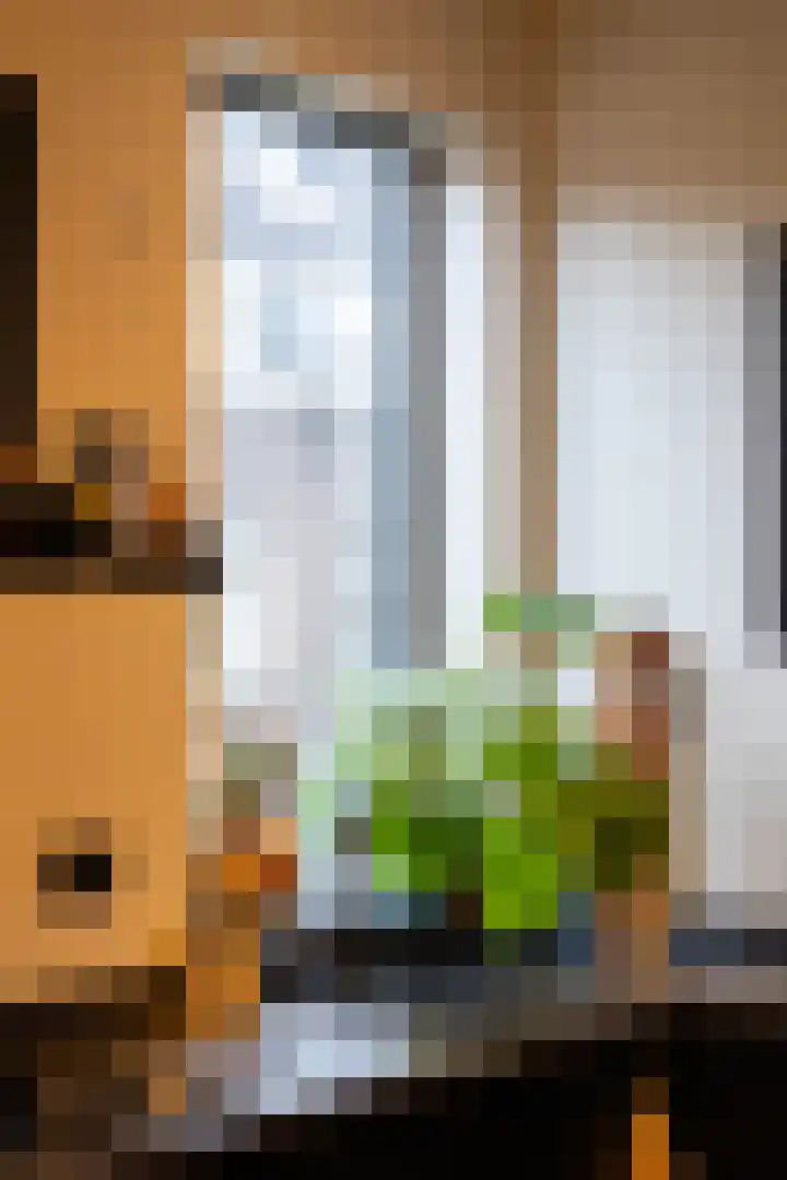 Jan Willem Frisostraat 4 A Rotterdam thumbnail 12