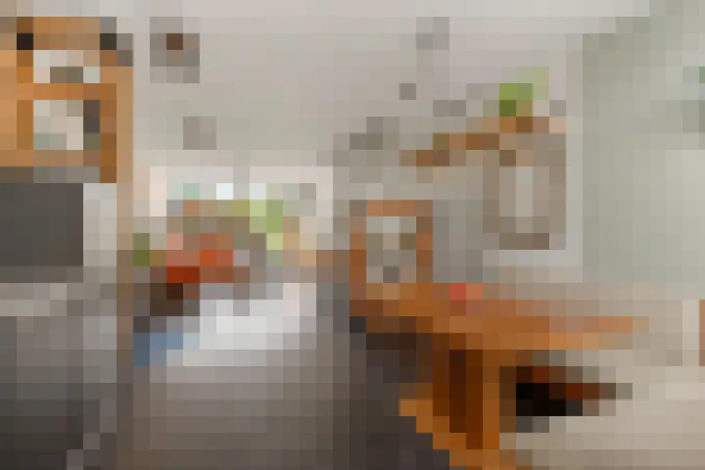 Jan Willem Frisoweg 48 Waddinxveen thumbnail 10