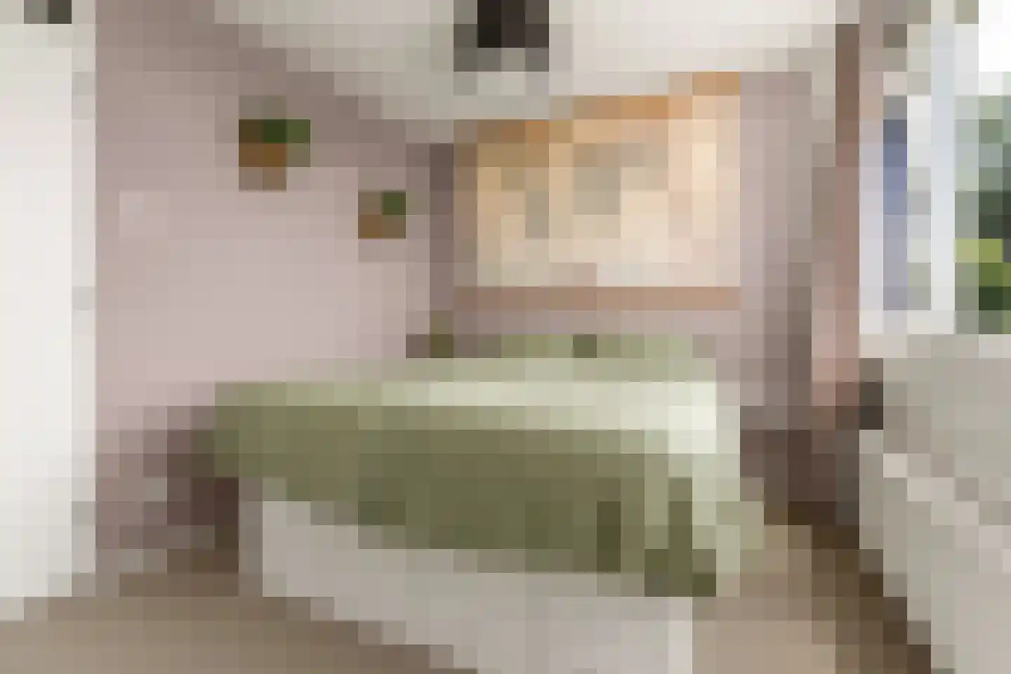 Jan Willem Frisoweg 48 Waddinxveen thumbnail 18
