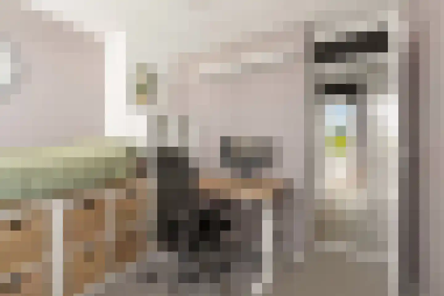 Jan Willem Frisoweg 48 Waddinxveen thumbnail 23