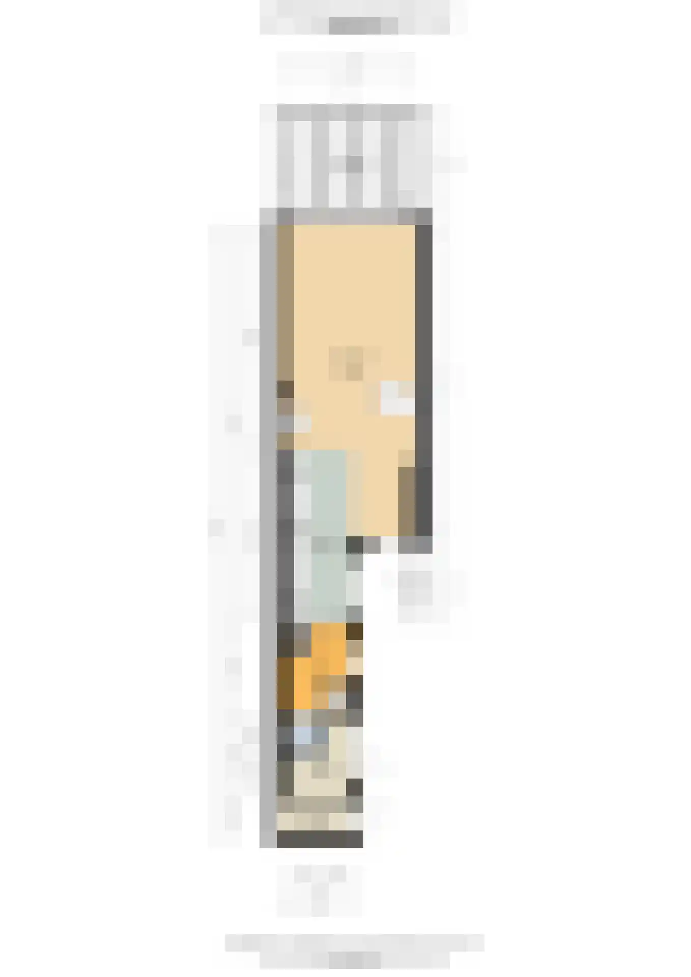 Jan Willem Frisoweg 48 Waddinxveen thumbnail 33