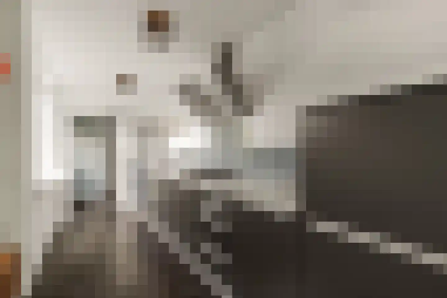 Jan Willem Frisoweg 48 Waddinxveen thumbnail 8