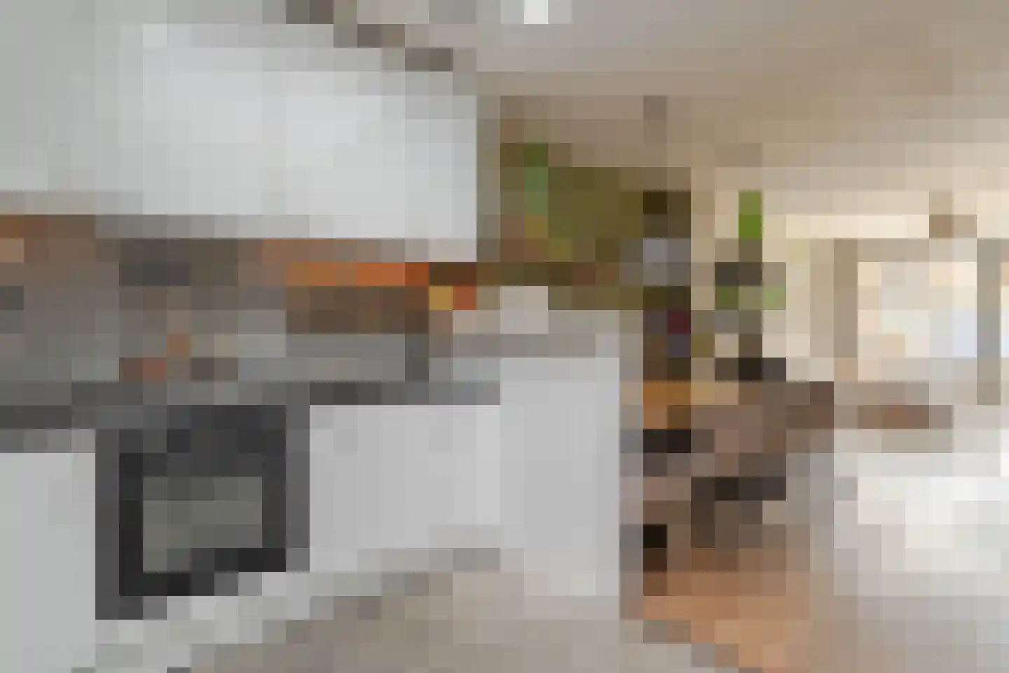 Jan Willem Frisoweg 49 Waddinxveen thumbnail 10