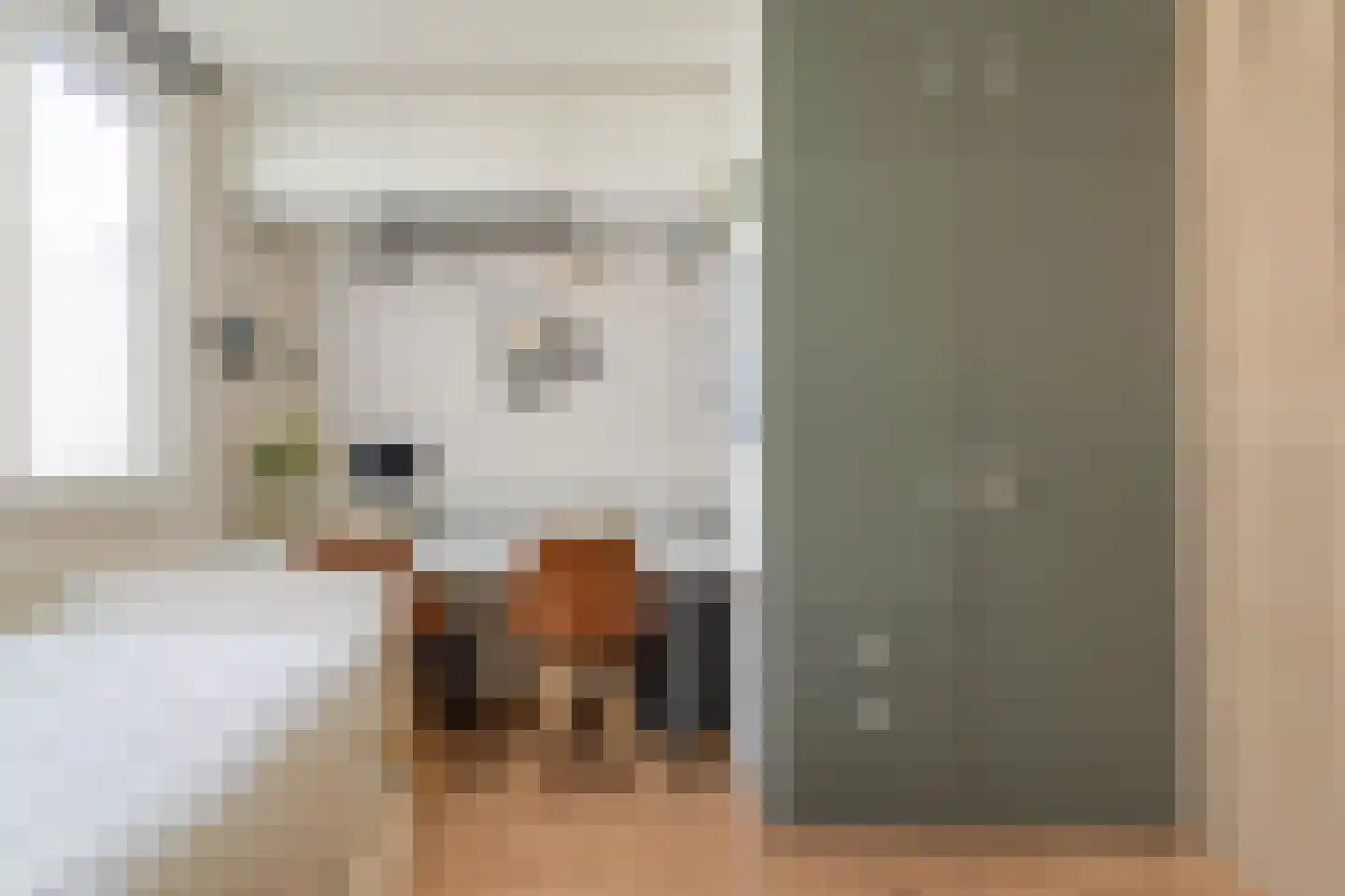 Jan Willem Frisoweg 49 Waddinxveen thumbnail 19