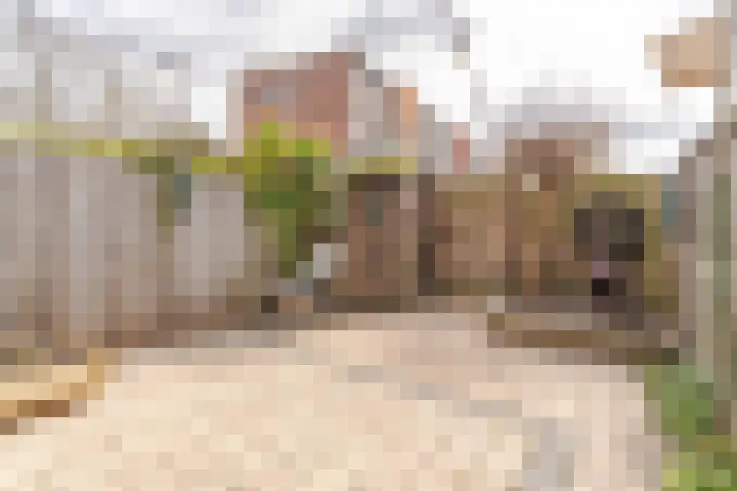 Jan Willem Frisoweg 49 Waddinxveen thumbnail 4