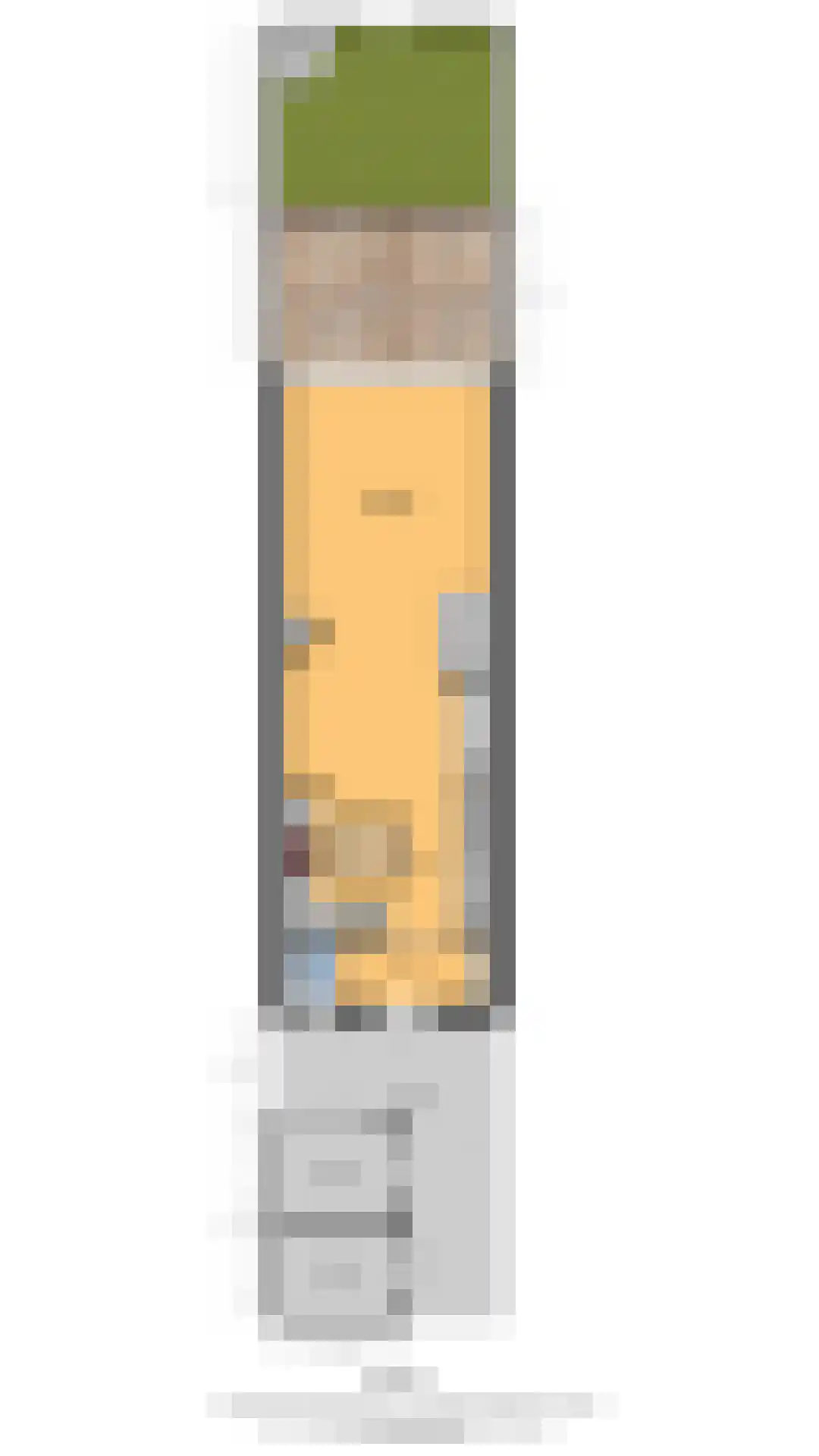 Jan Willem Frisoweg 49 Waddinxveen thumbnail 40