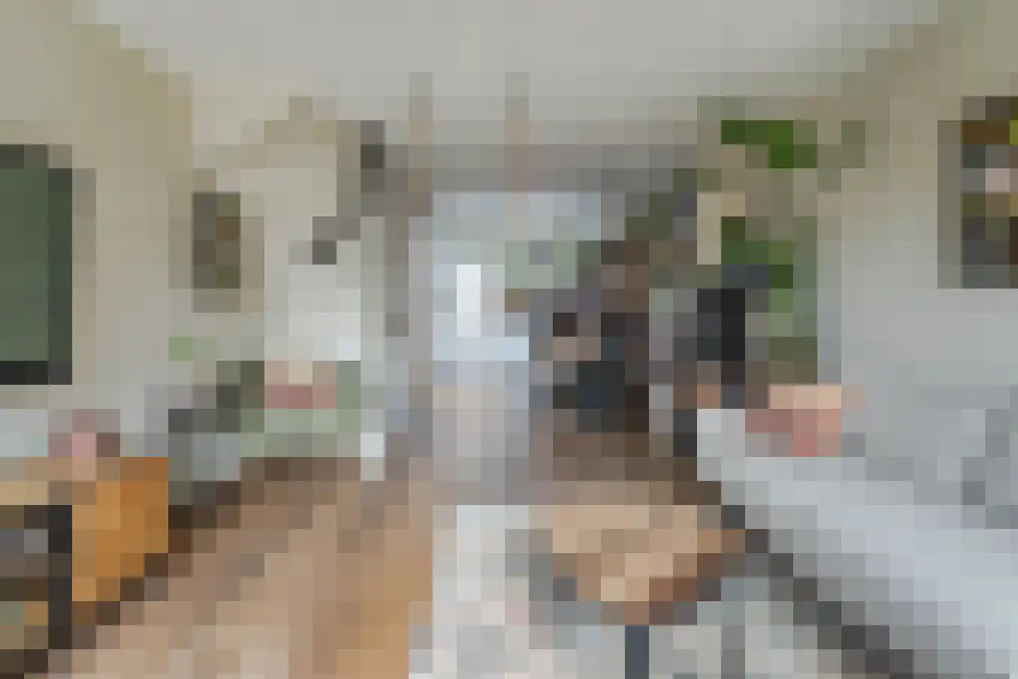 Jan Willem Frisoweg 49 Waddinxveen thumbnail 7
