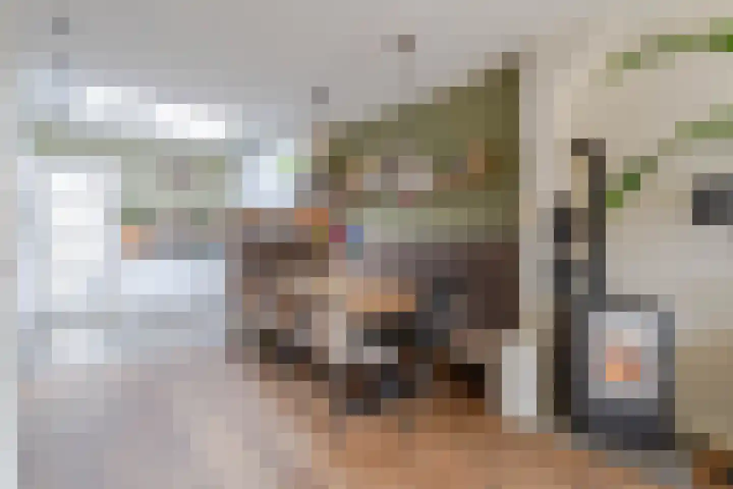 Jan Willem Frisoweg 49 Waddinxveen thumbnail 9