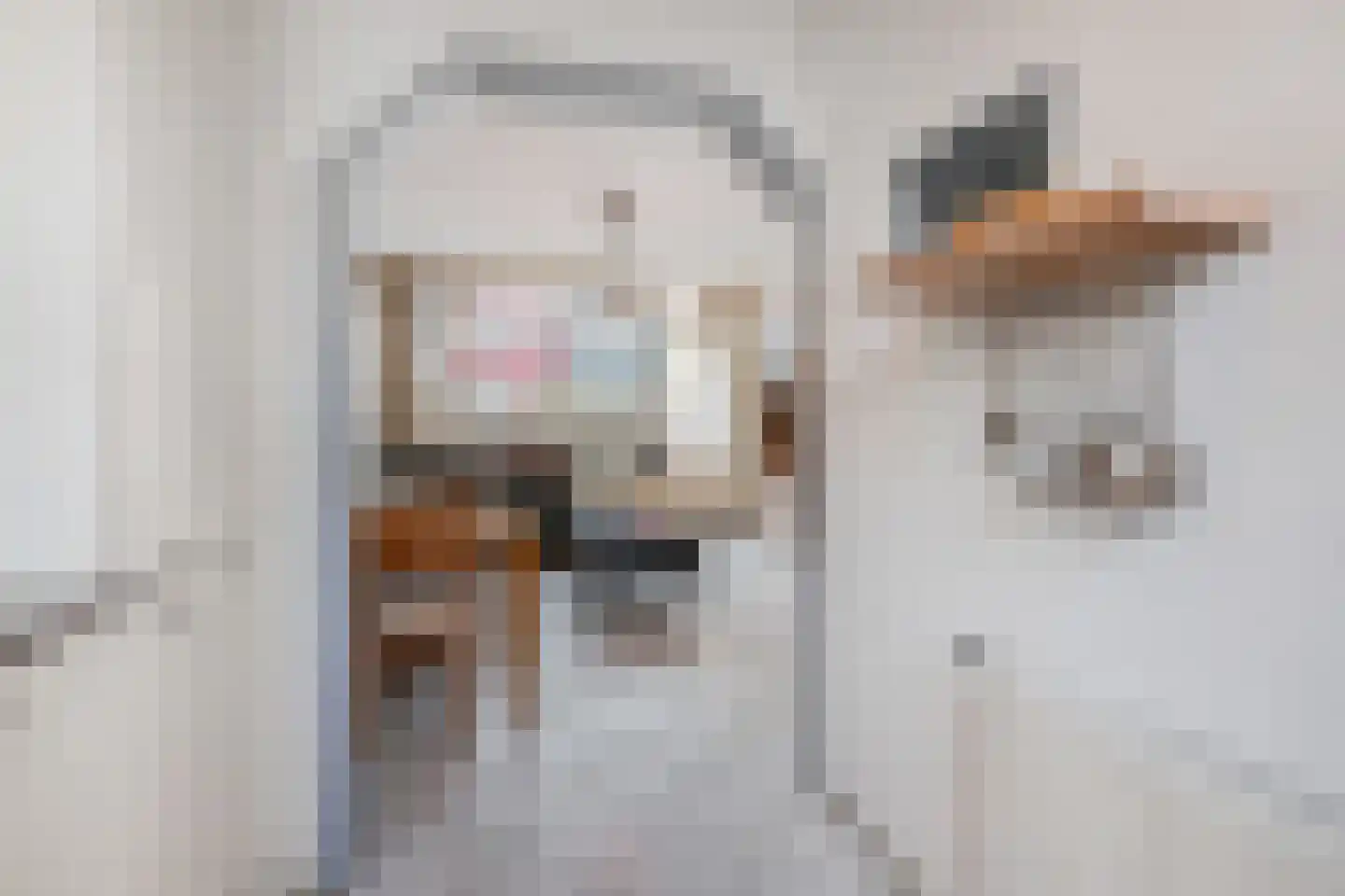 Jan Willem Frisoweg 59 Waddinxveen thumbnail 10