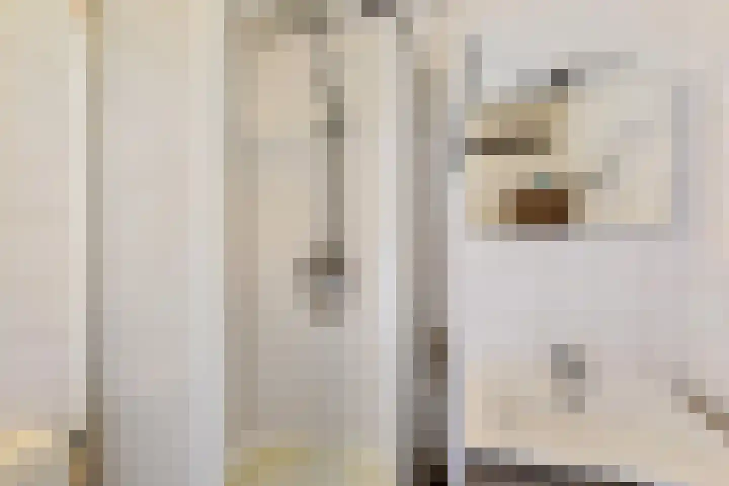 Jan Willem Frisoweg 59 Waddinxveen thumbnail 18