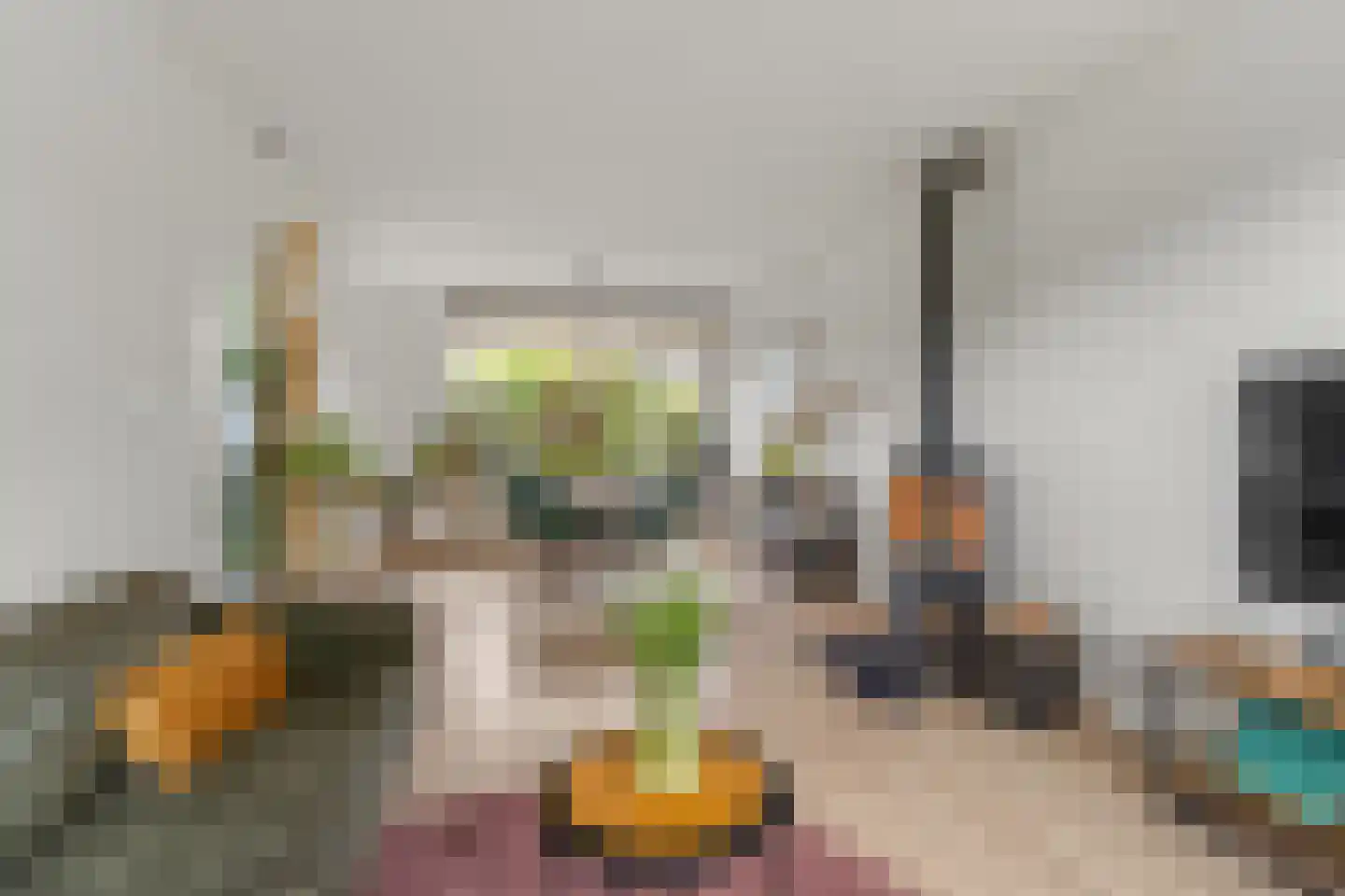 Jan Willem Frisoweg 65 Waddinxveen thumbnail 10