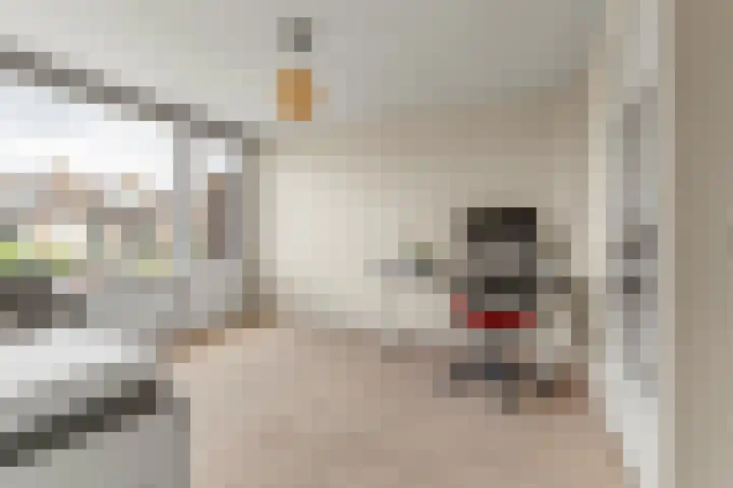Jan Willem Frisoweg 65 Waddinxveen thumbnail 23