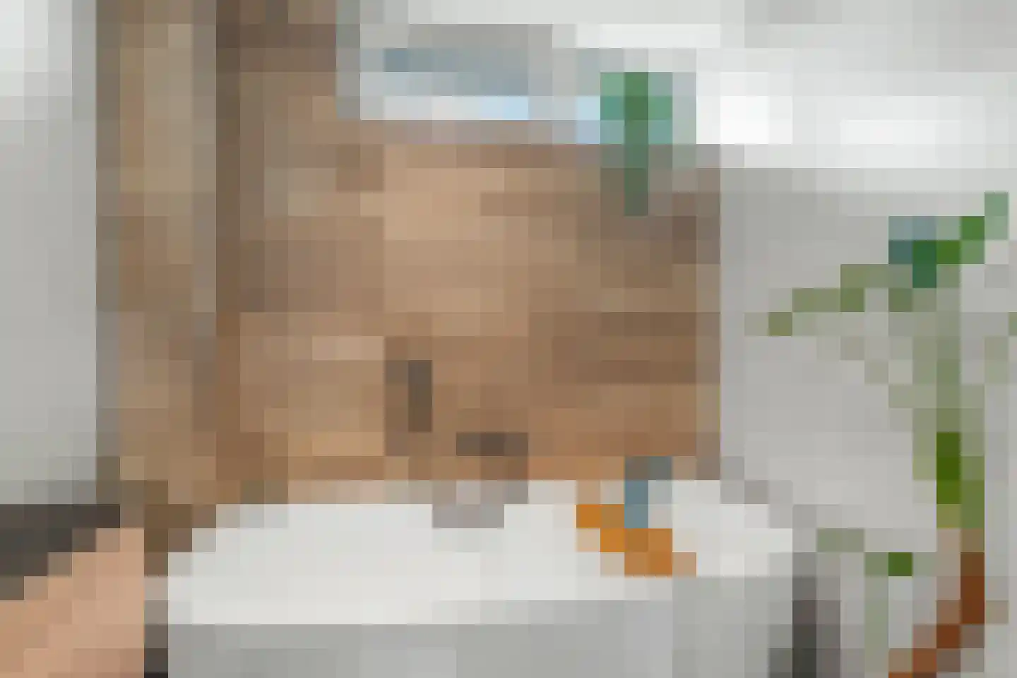 Jan Willem Frisoweg 65 Waddinxveen thumbnail 31
