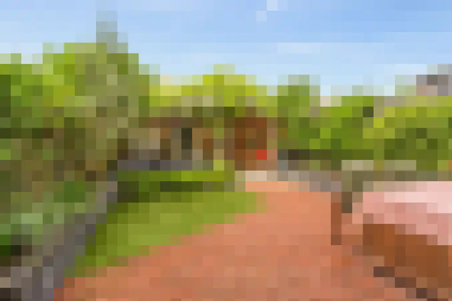 Jan Willem Frisoweg 65 Waddinxveen thumbnail 37